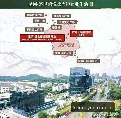 3个关键指标验证云开官网最新版：从安装到体验的全流程分析